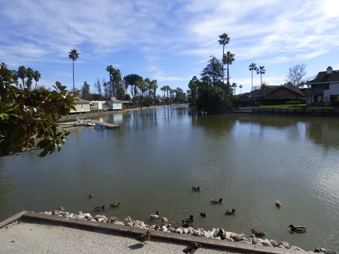 Vista desde la terraza de toda la parte trasera - 6241 Riverside Blvd