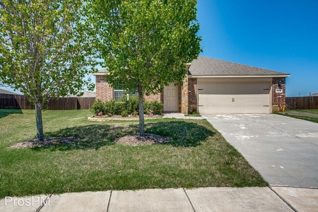 Building Photo - 4 br, 2 bath House - 1514 Wild Rye Circle