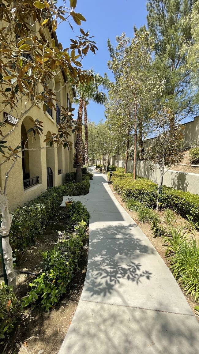 Path along whole community - 20437 Paseo Altisse