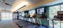 Located at Bay Drive in Bayonne, NJ, this single-floor fitness center is a comprehensively outfitted facility designed to support a wide range of workout routines. The space is generously proportioned, with an open layout that accommodates multiple training zones without feeling crowded. Durable rubber tile flooring runs throughout, providing a safe and resilient surface suited to both cardio and strength activities.

The cardio zone features a long row of treadmills equipped with individual monitors, alongside elliptical trainers and other cardio machines positioned near floor-to-ceiling windows that allow natural light to fill the space and provide views of surrounding greenery. Ceiling fans are installed throughout, enhancing air circulation and comfort during workouts.

The strength training area includes a comprehensive rack of dumbbells, adjustable benches, cable machines, and weight training equipment arranged efficiently around structural columns. A dedicated functional training station offers TRX suspension straps, resistance bands, kettlebells, medicine balls, and a multi-use rig for dynamic exercise options. Mirrors along the walls extend the visual depth of the space and support proper form. Recessed and cove lighting provides a well-lit, modern ambiance throughout the facility.