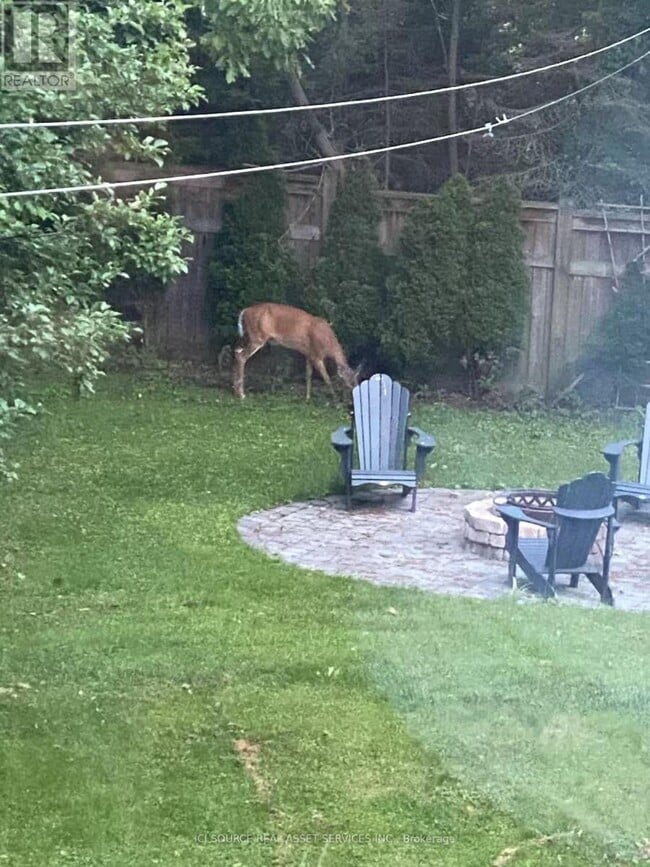 Building Photo - 27 Valley Trl