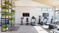 Located at 135 Ballentrae Ct in Chapel Hill, NC, this well-appointed fitness center offers a thoughtfully designed single-floor space that balances functionality with modern aesthetic appeal. The room is defined by striking vaulted ceilings clad in warm natural wood tongue-and-groove paneling, complemented by large ceiling fans that keep the space comfortable during workouts. Expansive floor-to-ceiling windows along one wall flood the interior with abundant natural light while offering open views of the surrounding outdoor area, creating an energizing atmosphere. A set of French doors provides direct access to an outdoor patio space. The fitness floor is finished with durable carpet tile and is well-equipped with a comprehensive range of exercise equipment, including treadmills, elliptical machines, upright and recumbent stationary bikes, a spin bike, rowing machines, and a multi-function cable/functional trainer rig. Free weights, kettlebells, dumbbells, and medicine balls are neatly organized on dedicated racks. Wall-mounted flat-screen televisions are positioned throughout for entertainment during workouts. A decorative plant display shelf adds a natural, organic element to the interior, while a nature-themed accent wall provides an artistic focal point. The overall ambiance is bright, clean, and contemporary.