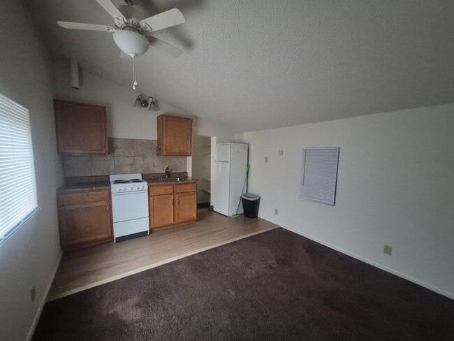 Photo - 828 1/2 E Cache La Poudre St House