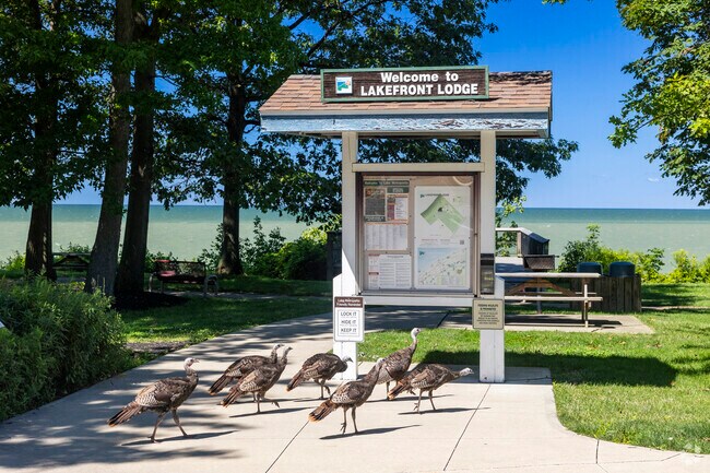 Wildlife sightings are frequent at Lakefront Lodge Park in Eastlake.