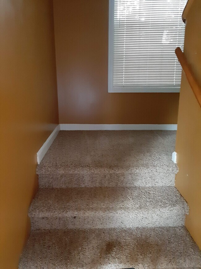 Building Photo - 6012 Treetop Ct