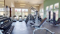 Located in Littleton, Colorado, this single-level fitness center is thoughtfully designed to support a comprehensive workout experience. The space features soaring ceilings that contribute to an open, airy atmosphere, while large windows lining multiple walls flood the interior with natural light and provide views of the surrounding community.

The flooring throughout is durable rubber gym matting, well-suited for both cardio and strength training activities. Cardio equipment includes multiple treadmills and elliptical machines, as well as stationary bikes, all arranged to take advantage of the natural light. A dedicated strength training area houses a multi-station cable machine, Matrix-brand selectorized equipment, and a full rack of dumbbells spanning a wide weight range.

Accent walls in a soft sage green add visual interest and complement the neutral cream tones of the higher walls. A large wood-framed mirror spans one wall, visually expanding the space and allowing users to monitor their form. Wall-mounted flat-screen TVs are positioned for easy viewing during workouts. Additional amenities include stability balls, medicine balls, a coat hook rail, a sanitizing station, and stainless steel waste receptacles, ensuring both functionality and cleanliness throughout the facility.