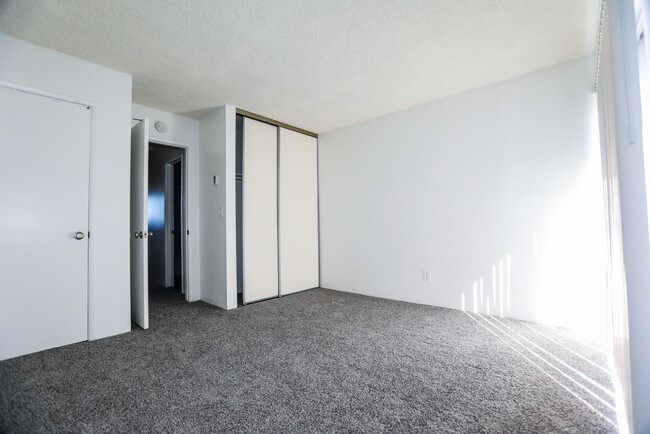 Building Photo - 4881 Rolando Ct