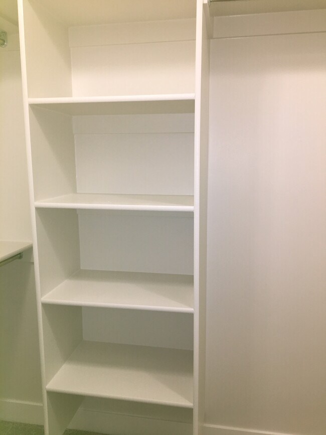 Master Walk in Closet - 4292 W Hemsley Ln
