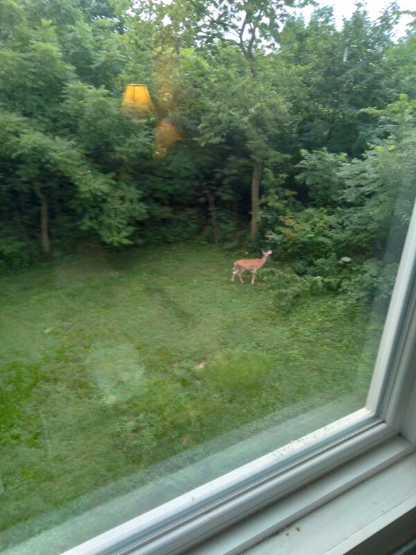 112 E Vine St Unit 2, Stowe, PA 19464 Room for Rent in Stowe, PA