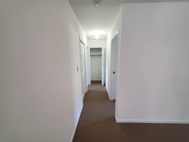 Hallway - 800 Old Springfield Ave