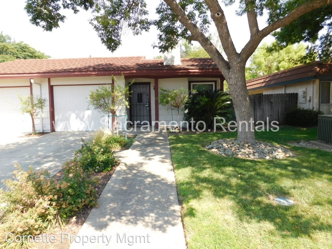 Primary Photo - 3 br, 2 bath House - 2004 Zinfandel Drive