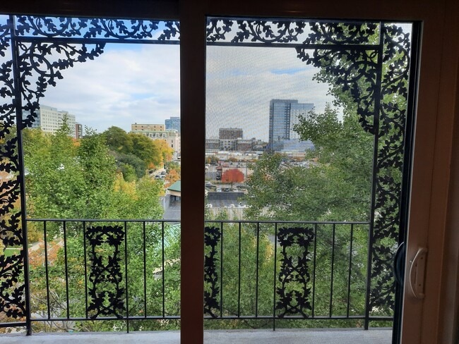 Vista a través de la puerta del balcón hacia el este. - 434 Clinton Pl