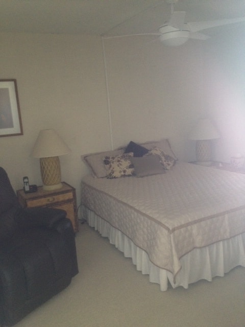 MASTER BEDROOM - 469 Ena Rd