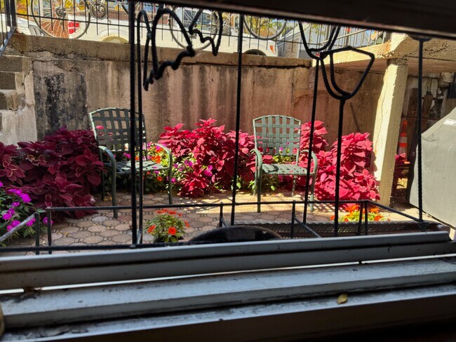 Foto del edificio - 2315 S Hoyne Ave