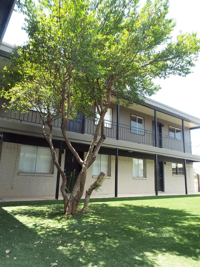 Building Photo - Downtown View Apartments