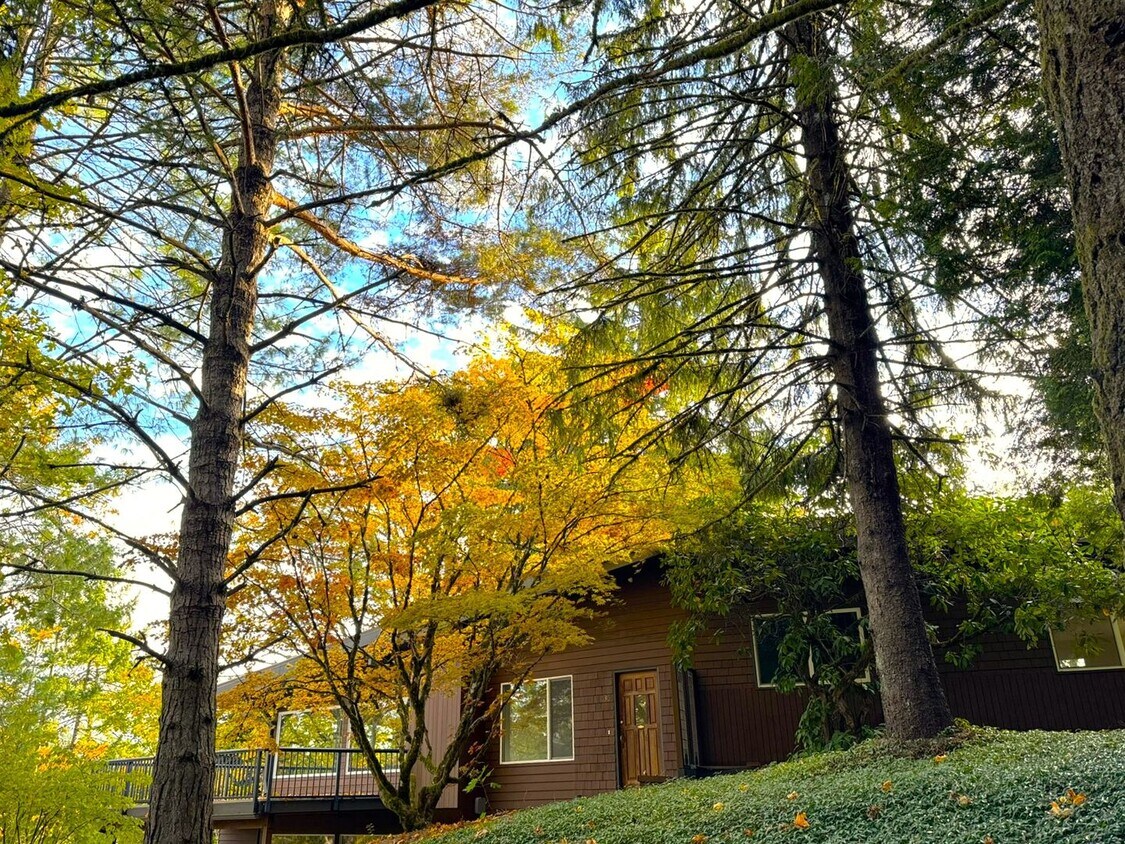 Foto principal - Mid-Centry Home Located in the SW Hills of...