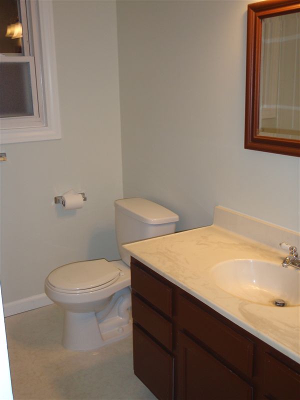 240 N Ann St, Fowlerville, MI 48836 House Rental in Fowlerville, MI