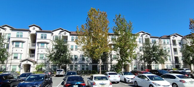 View Palm Apartments University Of Tampa Floor Plan