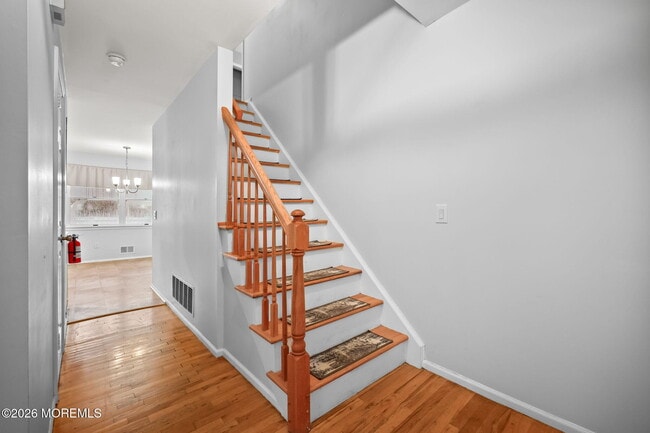 Building Photo - 11 Applebey St