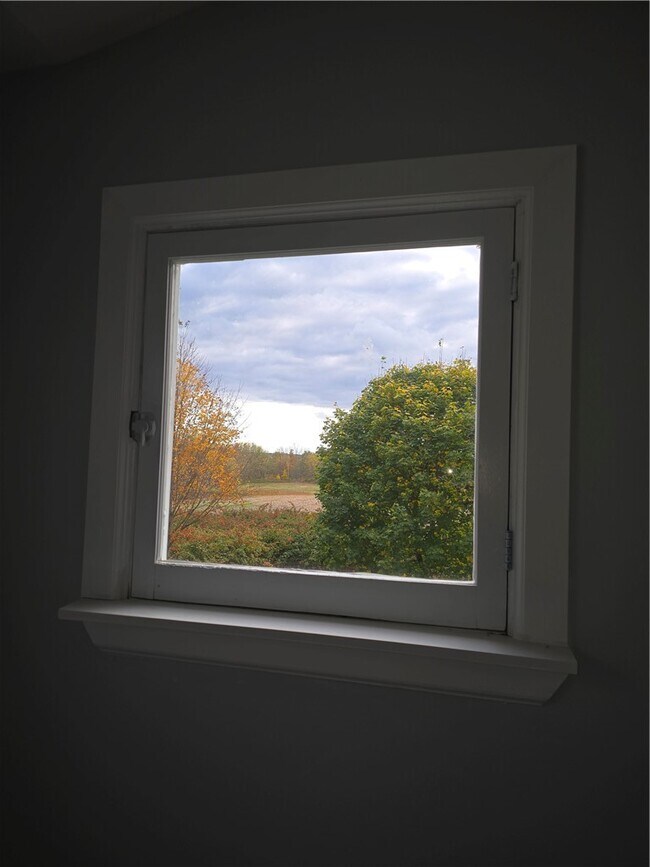 Foto del edificio - 41 Maple St