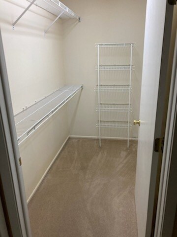Building Photo - 334 Ashford Cir