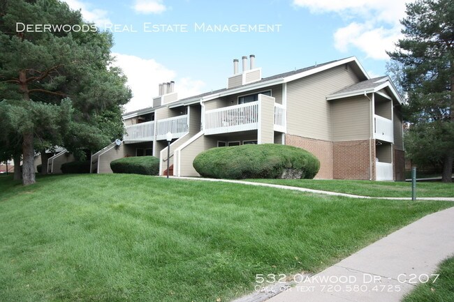 532 Oakwood Dr Unit C207 Castle Rock Co 80104 Apartment For