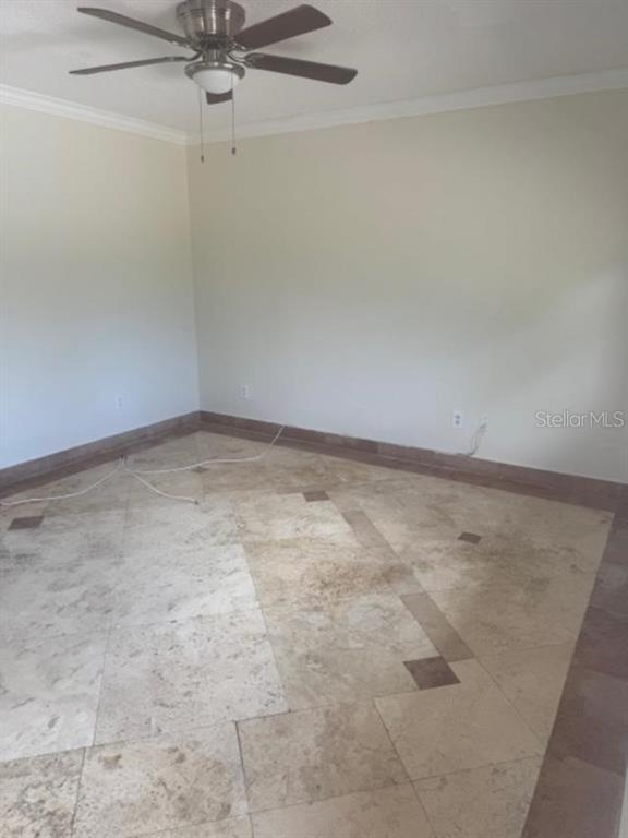 Foto del edificio - 2743 Pine Tree Ln