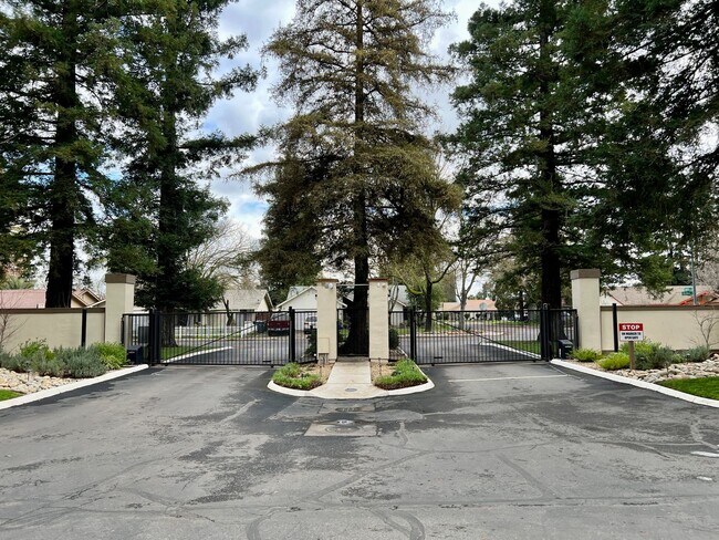Foto del edificio - Newly updated one bedroom in desirable Tim...