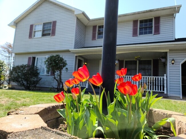 Foto del edificio - 80 Lower Newtown Rd