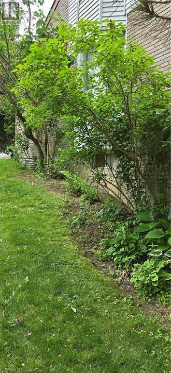 Building Photo - 137 Stonegate Dr