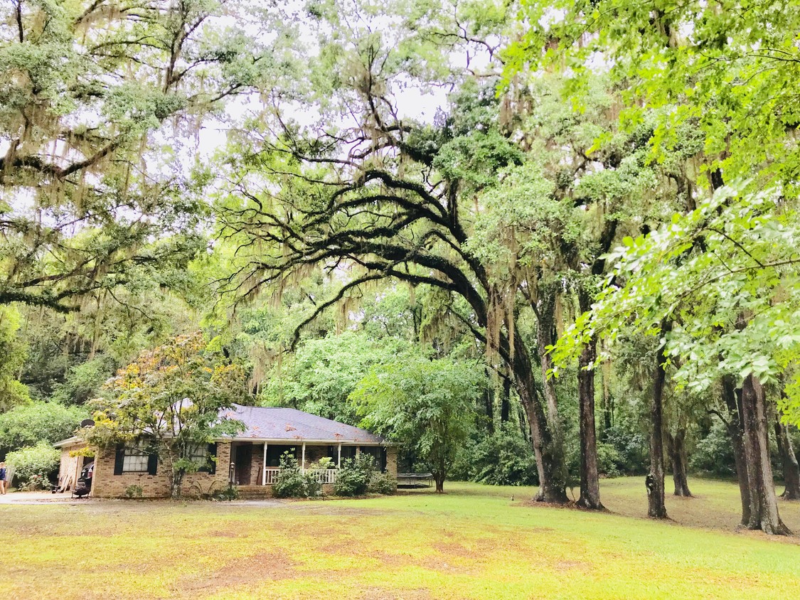 10608 Lake Iamonia Dr, Tallahassee, FL 32312 House Rental in