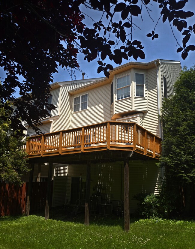 Building Photo - 25282 McIntyre Sq