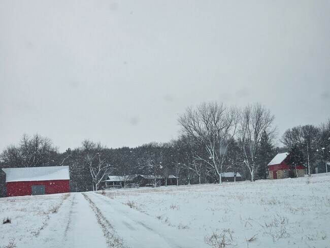 Building Photo - Country Living at it Finest