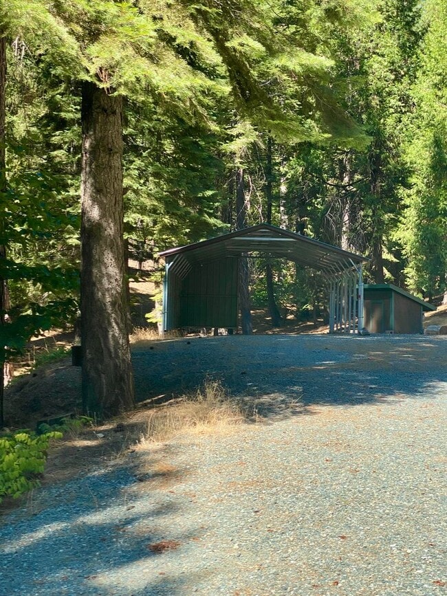 Building Photo - Upper Pioneer Home