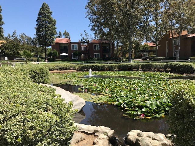 Primary Photo - 17151 W Bernardo Dr