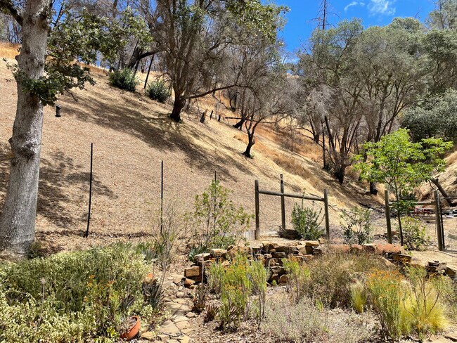 Side Yard - 1018 Arroyo Grande Dr