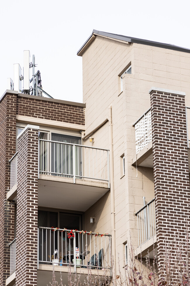 View of unit from outside the building - 515 Anderson Ave