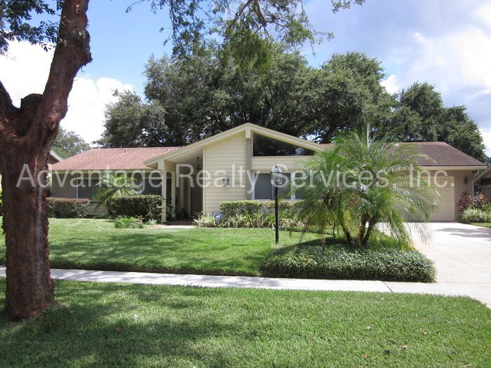 OLD CARROLLWOOD COMMUNITY LAKE AND BEACH House Rental in Tampa, FL
