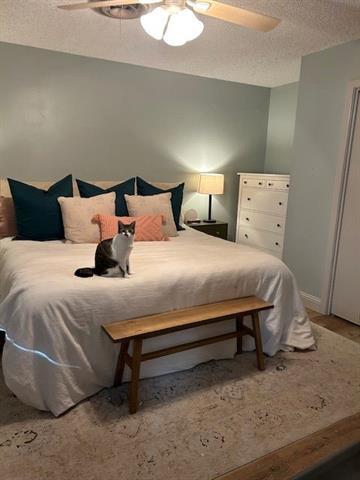 Foto del edificio - 2526 Elmwood Dr