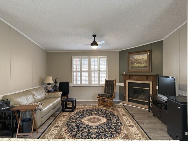 Building Photo - Furnished 3BD/2BA home in Black Mountain available now!