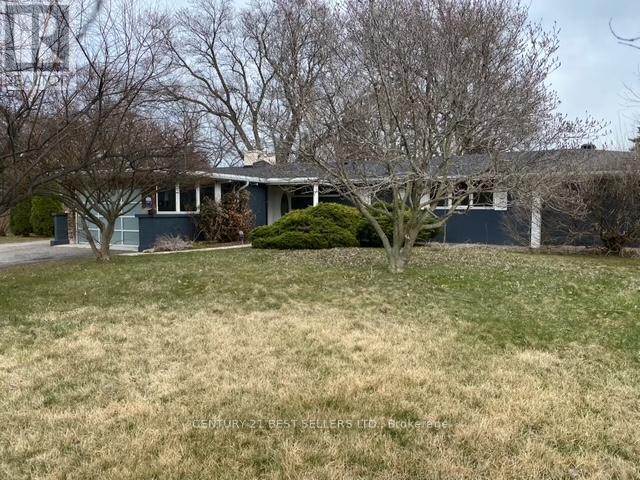 Primary Photo - 230 S Service Rd