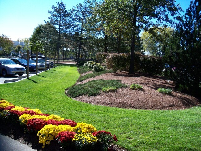 Foto del edificio - 364 Rindge Ave
