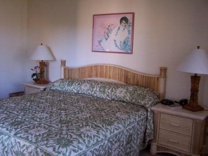 Building Photo - 3801 Lower Honoapiilani Rd