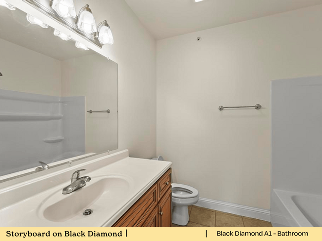 Storyboard on Black Diamond - Apartments in Carbondale, IL | Apartments.com