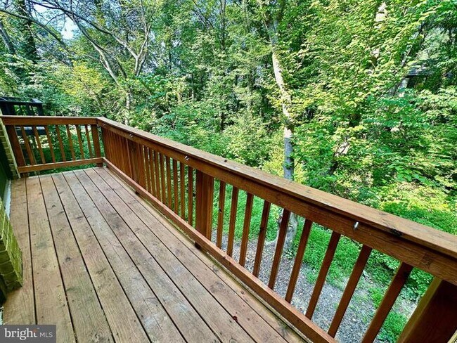 Building Photo - 1526 Scandia Cir