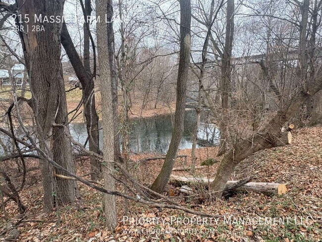 Building Photo - 215 Massie Farm Ln