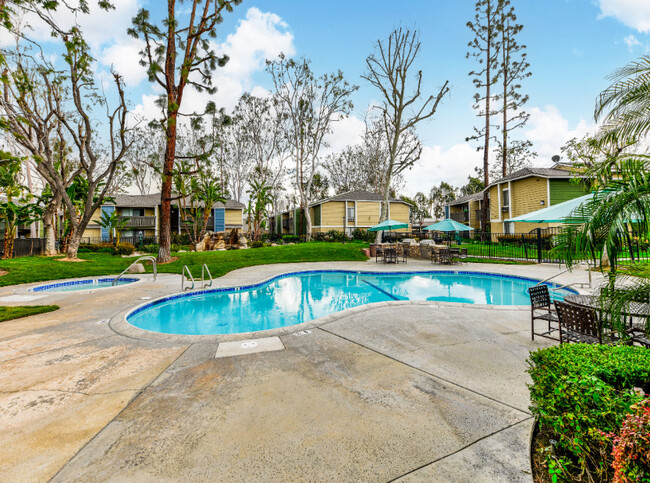 Piscina y spa River Oaks - River Oaks