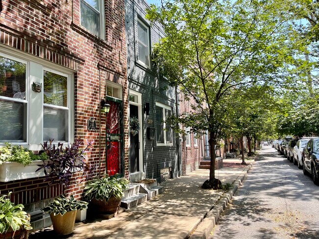 Narrow Tree Lined Street - 2141 Saint Albans St