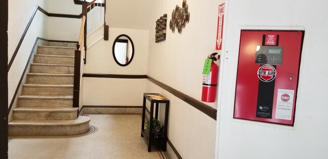 Main entrance hallway - 10 Yeamans St