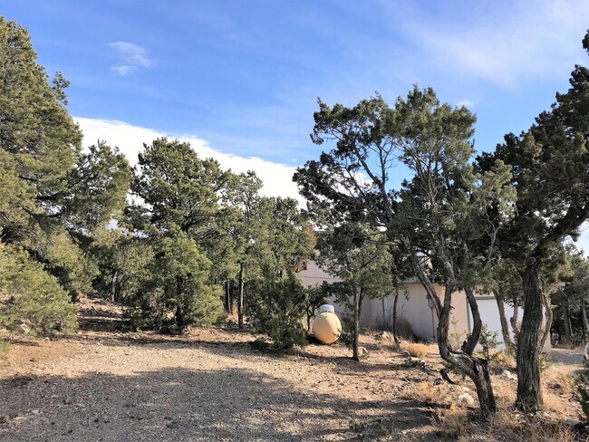 Foto del edificio - 88 Crestview Ln